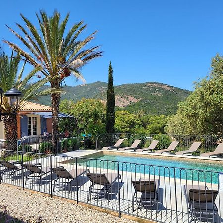 גלריה Villa Primavera מראה חיצוני תמונה
